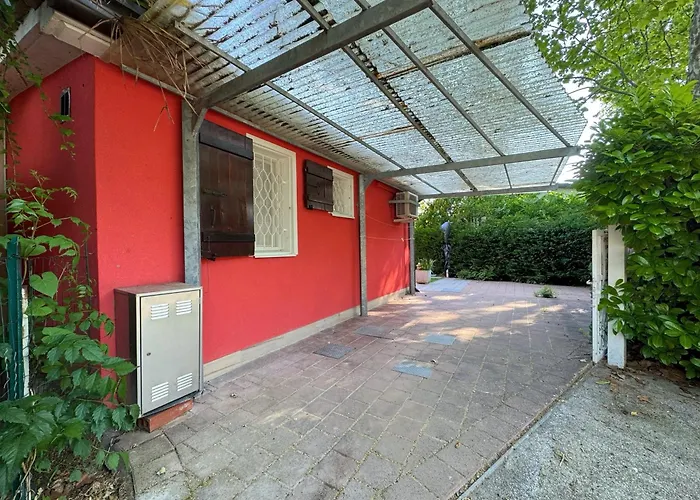 Bouganville * بيبيوني