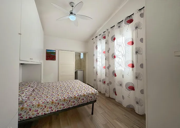 فيلة Bouganville *