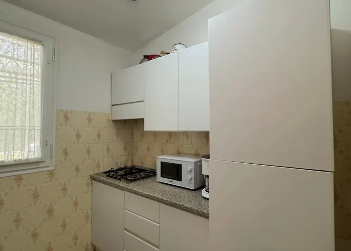 Bouganville بيبيوني