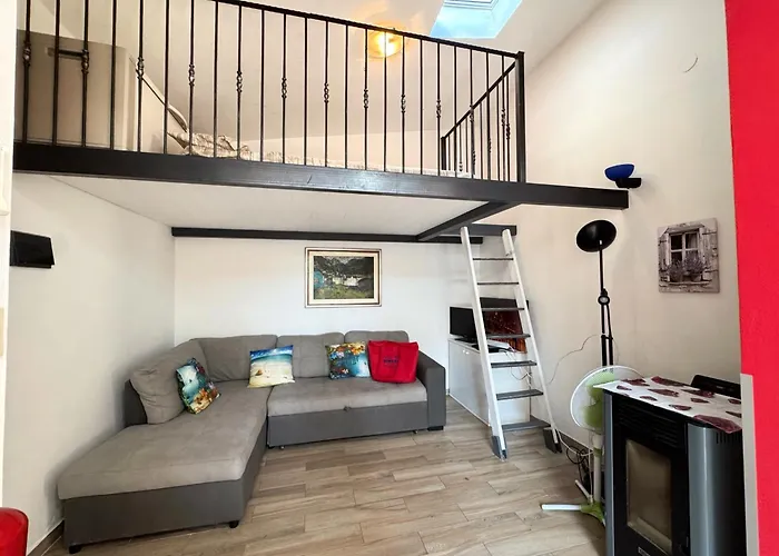 Bouganville فيلة