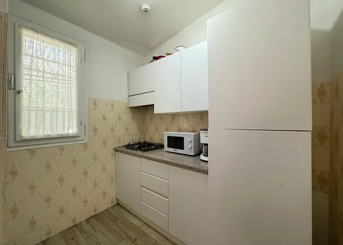 فيلة Bouganville *