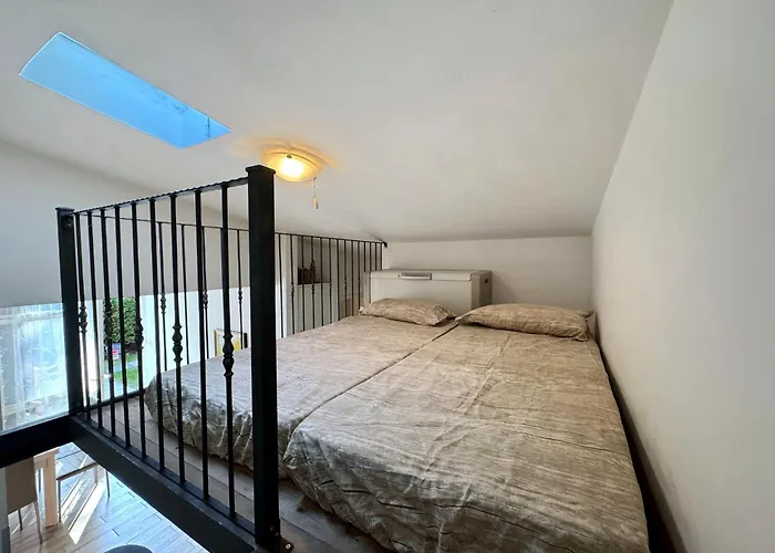 Bouganville * بيبيوني